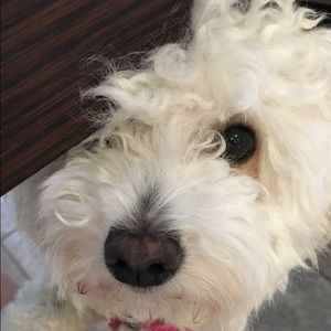 Meet your Posher, Sharon